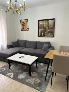 Cozy flat in the city center